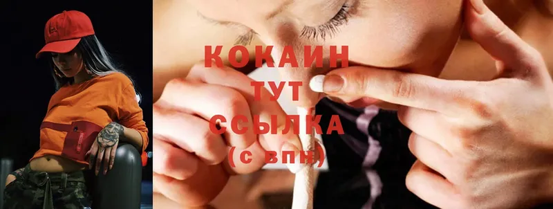 Cocaine FishScale  как найти наркотики  Лянтор 