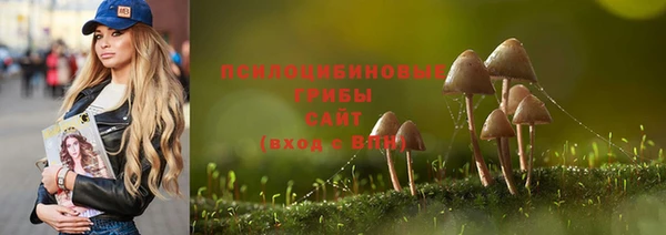 apvp Ладушкин