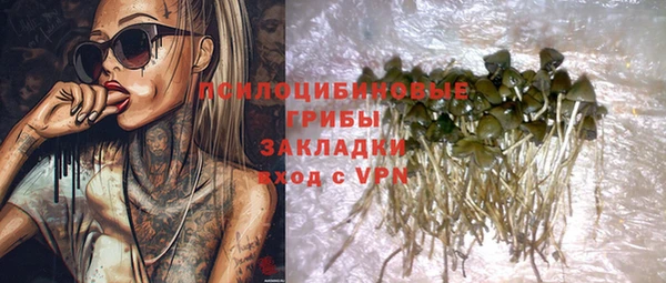 крисы Кукмор