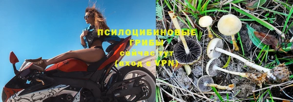 молекула духа Магас