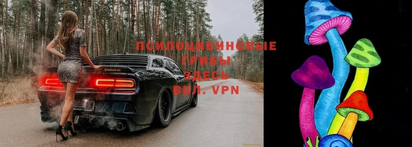 дживик Лабытнанги