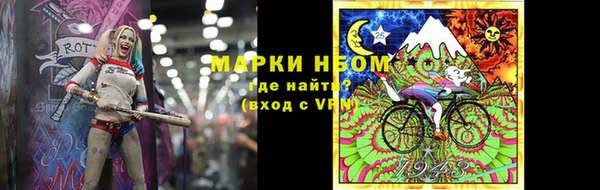твердый Кулебаки